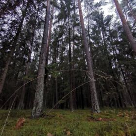 Wdarli się do mieszkania, pobili właściciela i zagrozili mu wywiezieniem do lasu