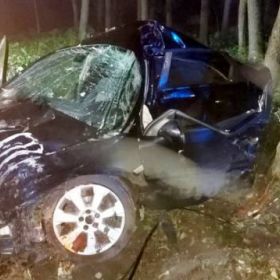 Kierujący autem 20 latek uderzył w drzewo. W ciężkim stanie trafił do szpitala