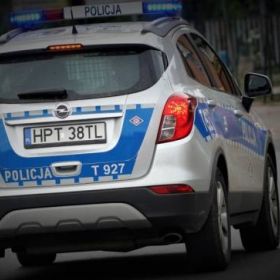Kolizja z udziałem psa. Konsekwencje poniósł właściciel czworonoga