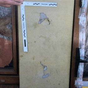Mieszkaniec piskiej gminy na długo zapamięta swoje 17-te urodziny