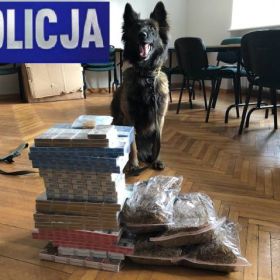 Piscy kryminalni i „Chila” znaleźli papierosy i tytoń bez akcyzy