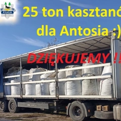 Finał zbiórki kasztanów dla Antosia – zebrano 25 ton!