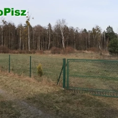 Działki budowlane za pół ceny – czy Pisz powinien pójść tą drogą?